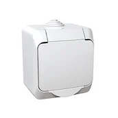 Gniazdka elektryczne - Gniazdo 2P + PE z klapką białe Cedar Plus - miniaturka - grafika 1