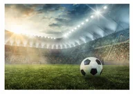 Fototapety - Fototapeta Piłka Nożna Stadion Dla Chłopca 368X254 - miniaturka - grafika 1