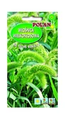 Nasiona i cebule - Włośnica wielokłosowa - trawy ozdobne 2 g Polan - miniaturka - grafika 1
