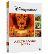 Filmy akcji DVD - Afrykańskie koty - miniaturka - grafika 1