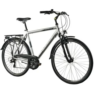 Rower trekkingowy INDIANA X-Road 1.0 M17 28 cali męski Srebrny 2024 - Rowery - miniaturka - grafika 1