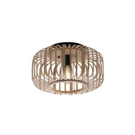 Lampy sufitowe - Lampa sufitowa RACOON 11412-79 Paul Neuhaus - miniaturka - grafika 1