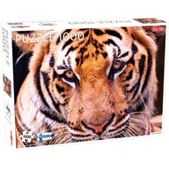 Puzzle - Puzzle Tygrys 1000 - miniaturka - grafika 1