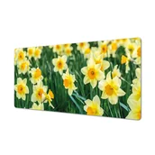 Podkładki na biurko - Trwała mata winyl eco kolorowa Narcyz żonkil łąka, ArtprintCave - miniaturka - grafika 1