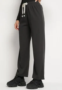 Ciemnoszare Spodnie Szerokie w Prażki z Troczkiem w Pasie z Wysokim Stanem Saimira - Spodnie damskie - miniaturka - grafika 1