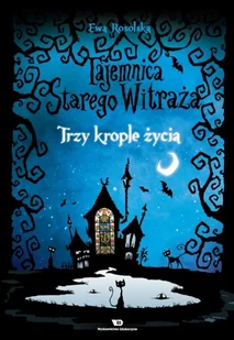 Ewa Rosolska Tajemnica starego witraża tom 1 trzy krople życia - Literatura popularno naukowa dla młodzieży - miniaturka - grafika 1