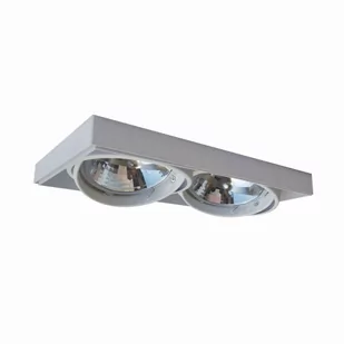 ONEON DL 111-2 SPOT BIAŁY/WHITE 94364-WH - Lampy pozostałe - miniaturka - grafika 1