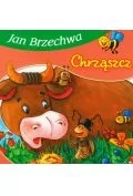 Skrzat Chrząszcz - Jan Brzechwa - Baśnie, bajki, legendy - miniaturka - grafika 2