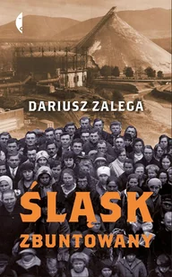 Dariusz Zalega Śląsk zbuntowany - Poradniki hobbystyczne - miniaturka - grafika 2