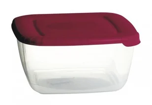 Plast Team poland Pojemnik Na Żywność Kwadrat Polar 0,95L PlastTeam PT16750803 - Pojemniki kuchenne - miniaturka - grafika 1