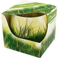 Zwalczanie i odstraszanie szkodników - Świeca szklanka A'1 CITRONELLA - miniaturka - grafika 1