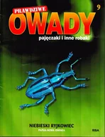 Czasopisma - Prawdziwe Owady Pajęczaki i Inne Robaki Reedycja - miniaturka - grafika 1