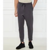 Dresy męskie - BOSS GREEN Spodnie dresowe Hadiko | Regular Fit - miniaturka - grafika 1