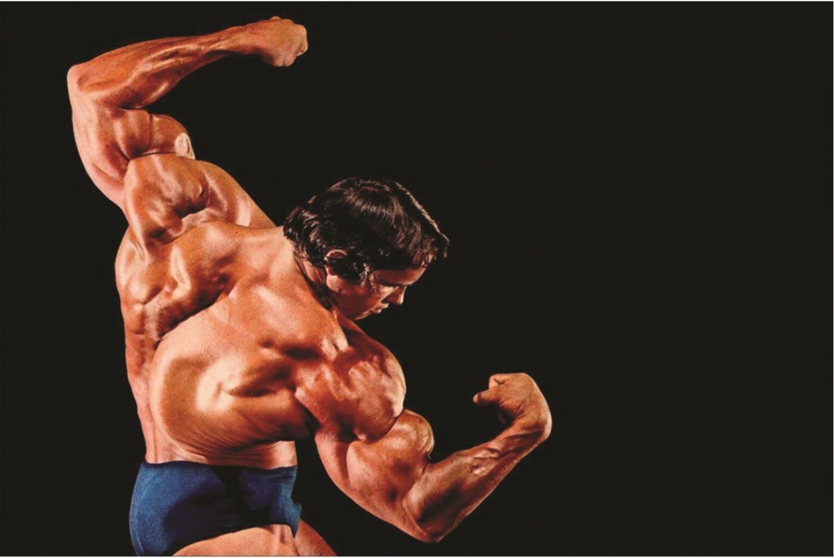 PODKŁADKA POD MYSZ Z Nadrukiem 22x18 cm Arnold Schwarzenegger Tekst Prezent