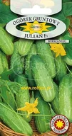 Nasiona i cebule - OGÓREK GRUNTOWY JULIAN DUŻE OPAKOWANIE p. DE80016220215891, DE80016920195383 - miniaturka - grafika 1