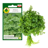 Nasiona i cebule - TRYBUŁA OGRODOWA COMMUN ZIOŁA NASIONA ZIÓŁ BEZ GMO - miniaturka - grafika 1
