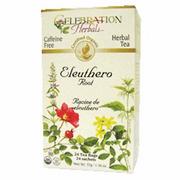 Herbata - Celebration Herbals Celebration Zioła Organiczna herbata żeń-szeń Eleuthero, 24 torebki (opakowanie 2) - miniaturka - grafika 1