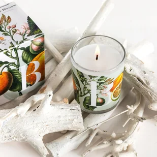 Świeca zapachowa Bergamot & Orange Blossom - Bergamotka i kwiat pomarańczy 70 gr - Świece - miniaturka - grafika 1