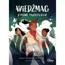 Zimowe przesilenie. Wiedźmag. Tom 3 - Komiksy dla młodzieży - miniaturka - grafika 1