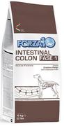 Sucha karma dla psów - Karma sucha dla psa FORZA10 Intestinal Colon Fase 1, 10 kg. - miniaturka - grafika 1
