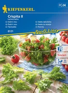 Nasiona i cebule - Sałata Dębolistna Crispita Ii 8121 (St) - miniaturka - grafika 1