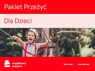 Pakiet Przeżyć dla Dzieci - Wyjątkowy Prezent - kod - Kody i doładowania cyfrowe - miniaturka - grafika 1