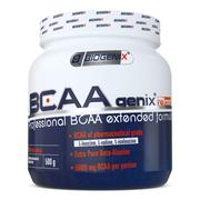 Biogenix BCAA genix reload 500 g (83012)