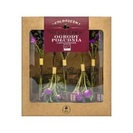 Herbata - DARY NATURY Herbatka liofilizowana Ogrody Południa EKO, 5szt. - >>> DARMOWA od 149zł <<<- - miniaturka - grafika 1