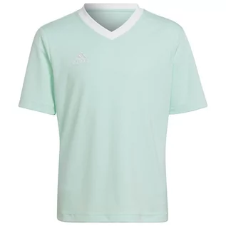 Koszulki sportowe męskie - Koszulka adidas ENTRADA 22 JSY Y HC5078 - grafika 1