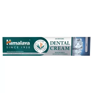 HIMALAYA Himalaya Ayurvedic Dental Cream Pasta do zębów z solą 100g Długi termin ważności! 7079301 - Pasty do zębów - miniaturka - grafika 1