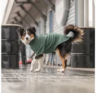 Ubranka dla psów - Trixie CityStyle Amsterdam sweatshirt, M: 50 cm, dark green - miniaturka - grafika 1