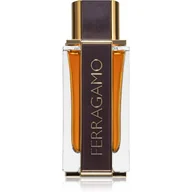 Wody i perfumy męskie - Salvatore Ferragamo, Spicy Leather, woda perfumowana, 100 ml - miniaturka - grafika 1