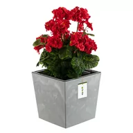 Donice - Doniczka skrzynka beton efekt beton wkład 7,5 L - miniaturka - grafika 1