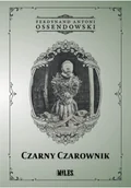 Powieści historyczne i biograficzne - czarny czarownik - miniaturka - grafika 1