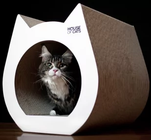 Drapak dla kota Cat White - Drapaki dla kotów - miniaturka - grafika 1