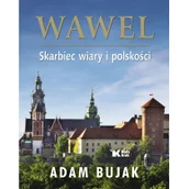 Albumy krajoznawcze - Wawel Skarbiec wiary i polskości Wersja polska - miniaturka - grafika 1