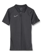 Koszulki męskie - NIKE Męska koszulka polo M Nk Dry Acd20 - miniaturka - grafika 1