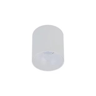 Nowodvorski Downlight LAMPA sufitowa POINT TONE 8222 metalowa OPRAWA spot tuba biała 8222 - Lampy sufitowe - miniaturka - grafika 1
