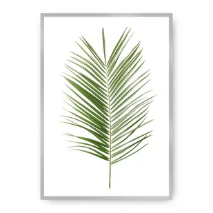 Dekoria Dekoria Plakat Palm Leaf Green 70 x 100 cm Ramka Srebrna 223G-000-06 - Plakaty - miniaturka - grafika 1