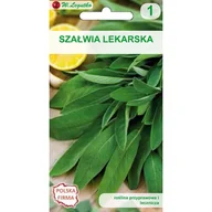 Nasiona i cebule - Szałwia lekarska W.Legutko - miniaturka - grafika 1