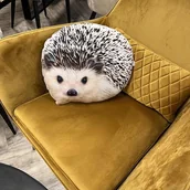 Poduszki dekoracyjne - Poduszka Jeż dla Miłośników Jeży - miniaturka - grafika 1