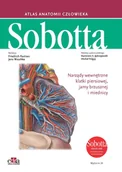 Książki medyczne - Atlas anatomii człowieka Sobotta Angielskie mianownictwo Tom 2 Paulsen F. Waschke J - miniaturka - grafika 1