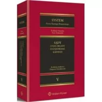 System prawa karnego procesowego tom 5 - dostępny od ręki, wysyłka od 2,99