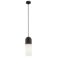 Lampy sufitowe - Argon Lampa wisząca 1x15W E27 BURGOS 4213 MEGA RABAT ! 4213 - miniaturka - grafika 1