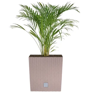 Doniczka kwadratowa wkład rattan 22,3x22,3x22,8 cm mocca - Donice - miniaturka - grafika 1