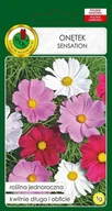 Nasiona i cebule - Onętek Sensation Mieszany 1 g PNOS - miniaturka - grafika 1