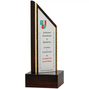 Trofeum z tworzywa sztucznego grawerowane - Gadżety dla kibiców - miniaturka - grafika 1