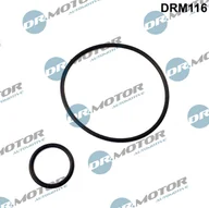 Silnik - akcesoria - Zestaw uszczelek, kolektor dolotowy Dr.motor Automotive DRM116 - miniaturka - grafika 1