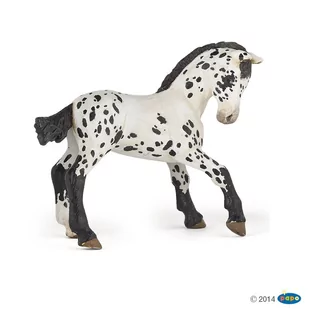 PAPO Źrebię Appaloosa - Figurki dla dzieci - miniaturka - grafika 1