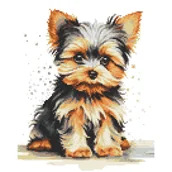 Pasmanteria - Haft krzyżykowy - Zestaw do haftu - Mały york - miniaturka - grafika 1